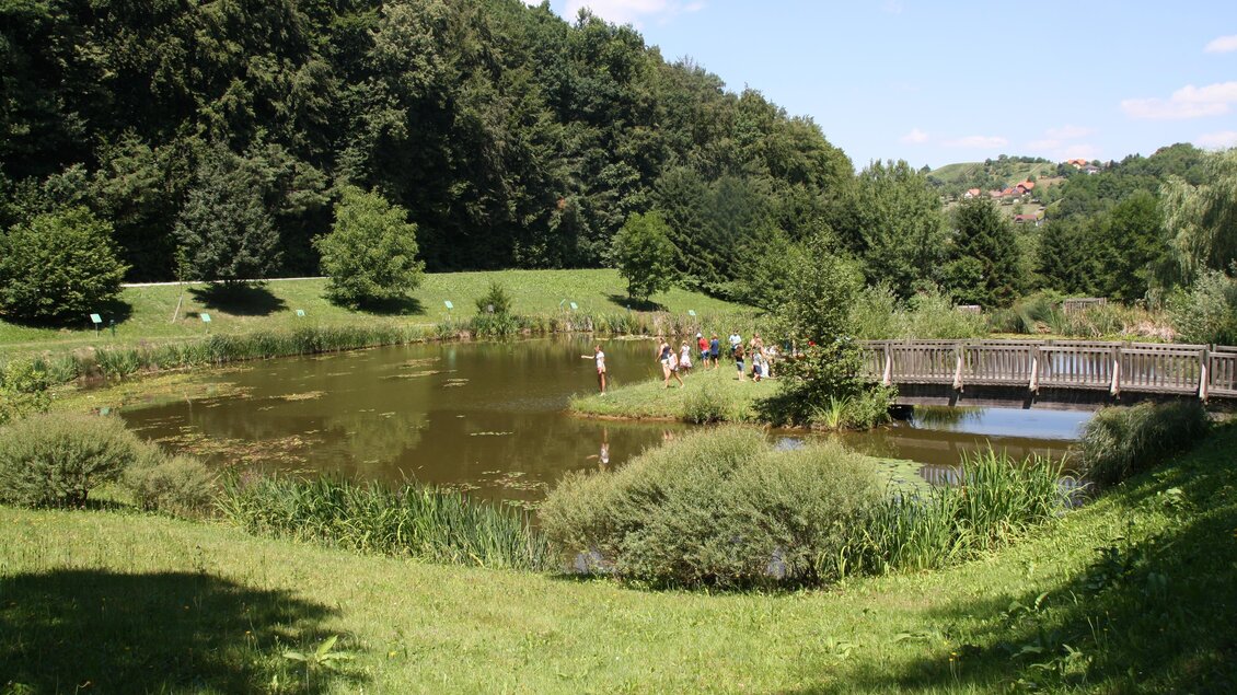 Naturteichanlage Unterlamm | © Gemeinde Unterlamm