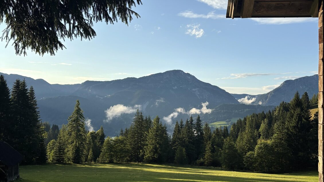 Ein schöner Ausblick auf eine grüne Wiese und bewaldete Berge. Der Himmel ist klar und die Landschaft wirkt friedlich.