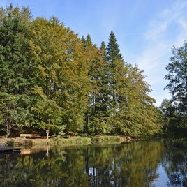 Nymphenweiher in Niedergams | © Stadtgemeinde Deutschlandsberg
