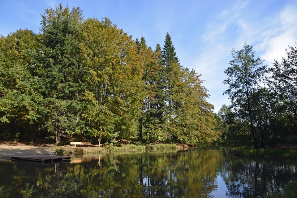 Nymphenweiher Niedergams - Impression #1 | © Stadtgemeinde Deutschlandsberg