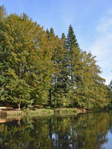 Nymphenweiher in Niedergams | Stadtgemeinde Deutschlandsberg | © Stadtgemeinde Deutschlandsberg