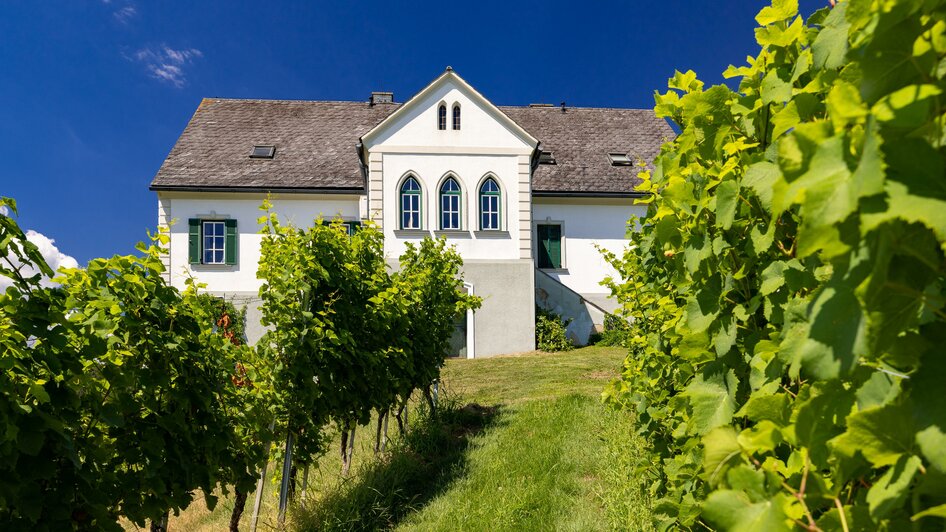 Herbstwein vom Weingarten | © TV Region Graz-Harry Schiffer