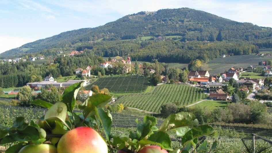 Fruit growing Berger_apple_street_Eastern Styria | © Tourismusverband Oststeiermark