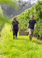 Fruit farm Schneeflock_In the orchard_Eastern Styria | © Obsthof Schneeflock | © Obsthof Schneeflock