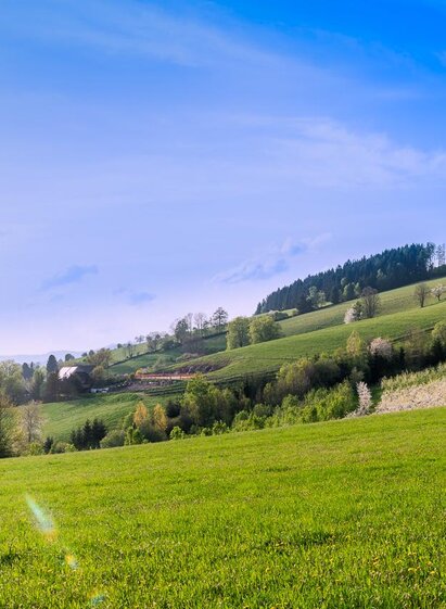 Aussichtspunkt_Panoramaplatz Graf_Almenland | Michael Graf | © Oststeiermark Tourismus