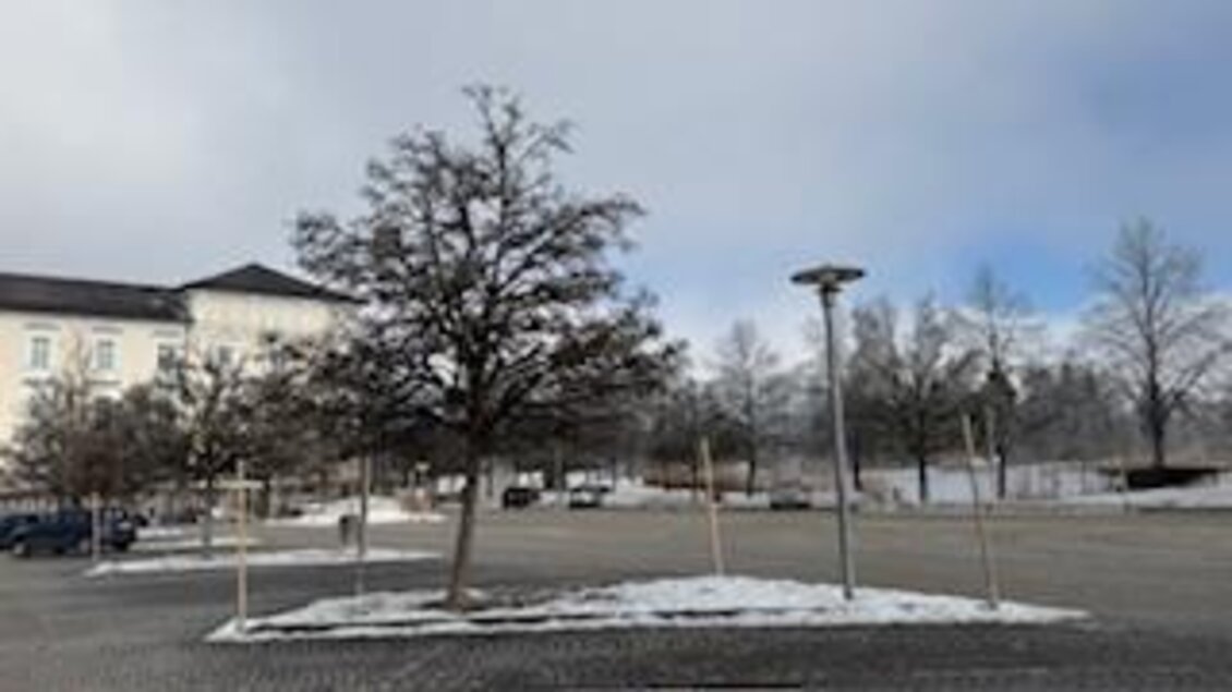 Ein Parkplatz mit einem Baum in der Mitte und einigen Schnee-Überresten. Im Hintergrund sind Gebäude und ein bewölkter Himmel zu sehen. | © Hanna Giraudo