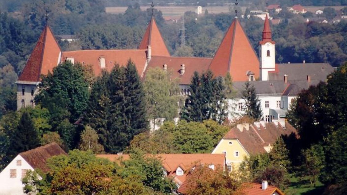 Ein malerisches Schloss mit roten Dächern, umgeben von Bäumen und grünen Wiesen. Im Vordergrund sind bunte Häuser zu sehen. | © Marktgemeinde Straß in Steiermark