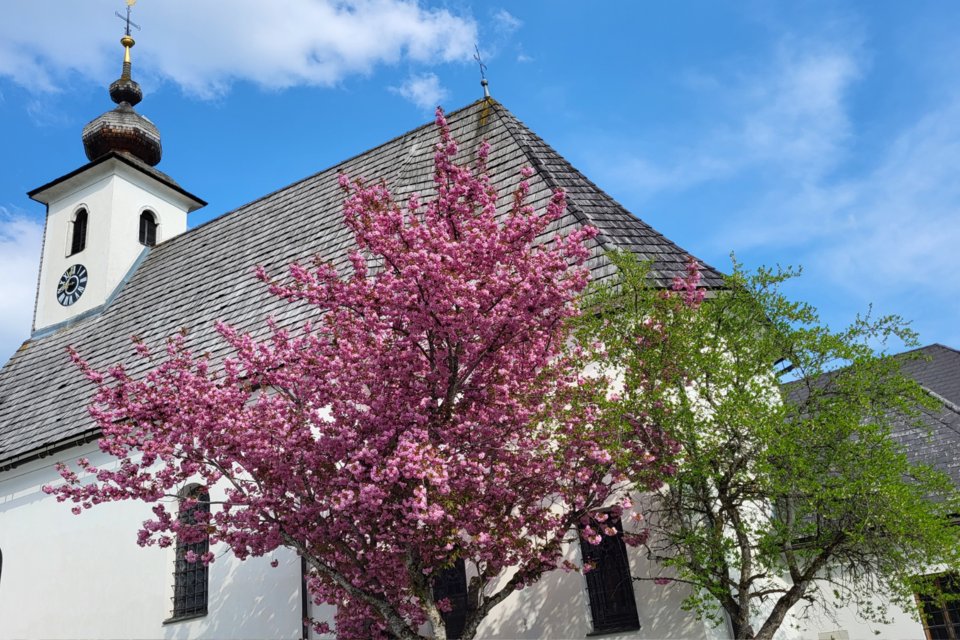 Church Tauplitz - Impression #1 | © TVB Ausseerland Salzkammergut/Kirchschlager
