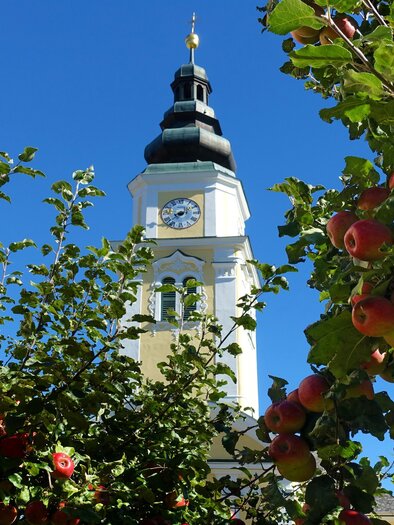 A church tower is visible with flowers and fruit. | © Maria Fank
