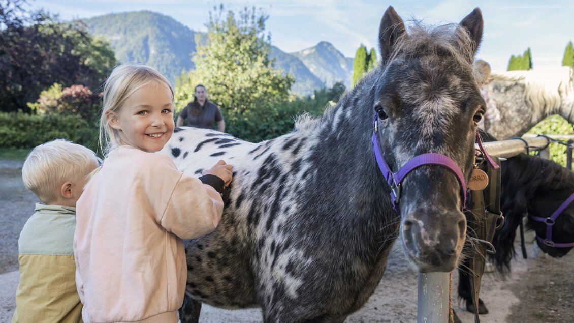 Ein Mädchen putzt ein geflecktes Pony, während ein kleiner Junge daneben steht. Im Hintergrund sind Bäume und Berge zu sehen. | © www.zloam.at