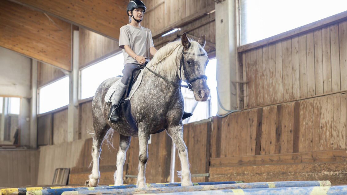 Ein Junge reitet auf einem grauen Pferd in einer Reithalle. Vor ihm liegen bunte Stangen auf dem Boden. | © www.zloam.at