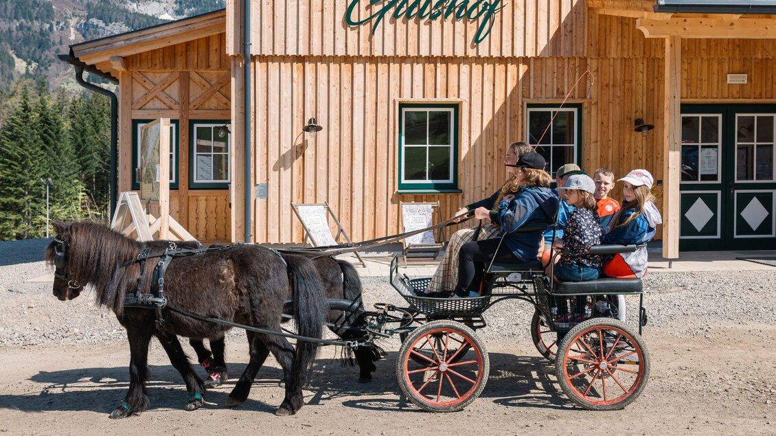 Eine Ponykutsche fährt vor einem Holzhaus. Kinder sitzen in der Kutsche und genießen den Ausflug. | © Pferdefreunde Zloam, www.pferdefreunde-zloam.at