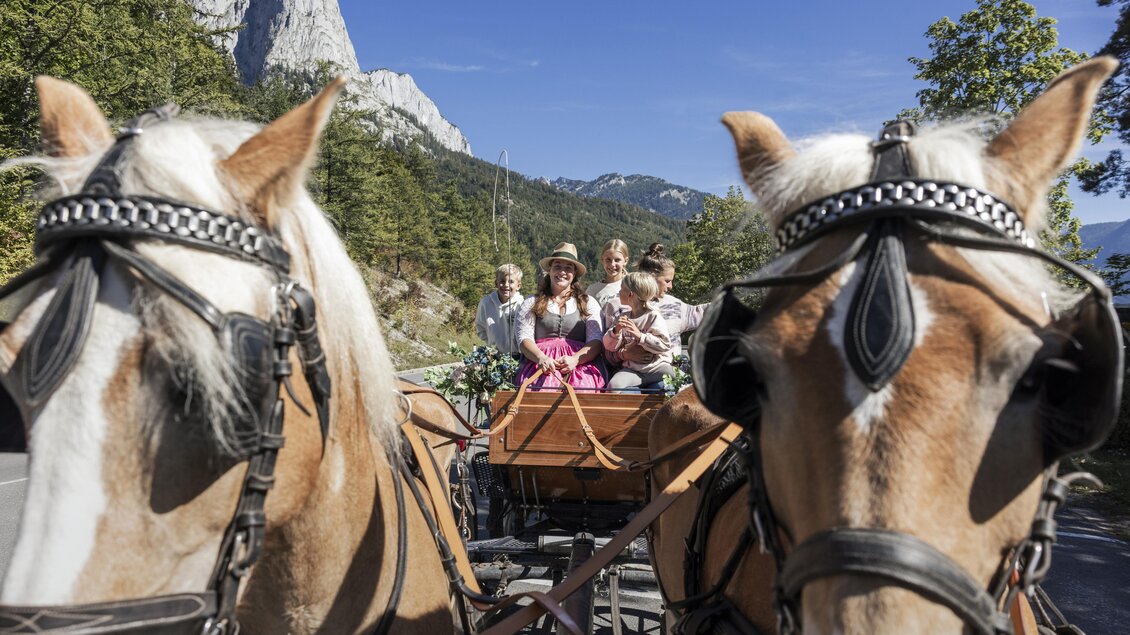 Eine Kutsche mit mehreren Fahrgästen wird von zwei Pferden gezogen. Im Hintergrund sind Berge und Bäume zu sehen.