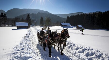 Pferdeschlitten im Ausseerland | © TVB Ausseerland Salzkammergut/Tom Lamm | TVB Ausseerland Salzkammergut/Tom Lamm | © TVB Ausseerland Salzkammergut/Tom Lamm