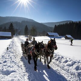 Pferdeschlitten im Ausseerland | © TVB Ausseerland Salzkammergut/Tom Lamm