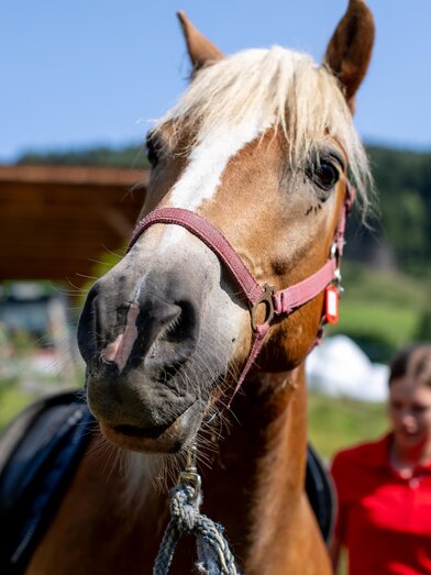 Reiten | Tom Lamm | © Tourismusverband Murau