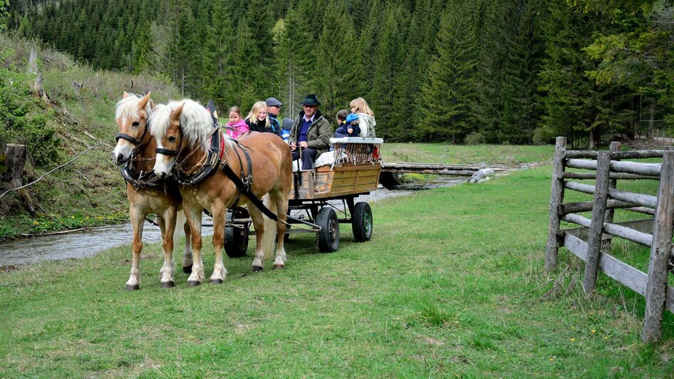 Horse farm_Carriage_Eastern Styria  | © Pferdebetrieb Hrovat