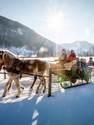 Pferdeschlittenfahrt | Tom Lamm | © Tourismusverband Murau