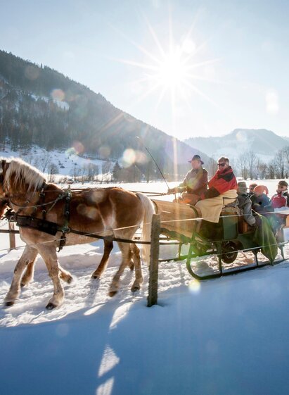 Pferdeschlittenfahrt | Tom Lamm | © Tourismusverband Murau