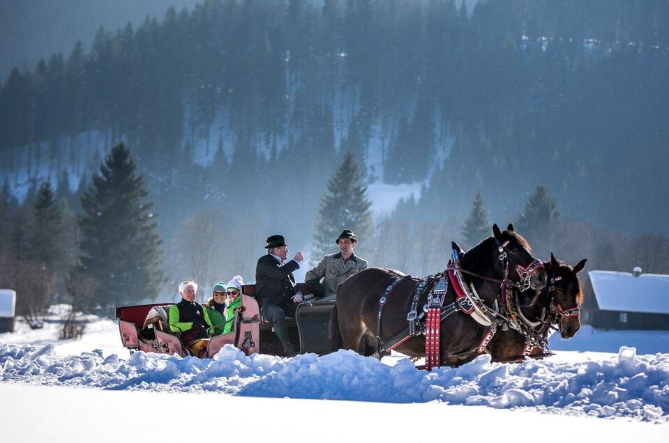 Horse-Drawn Carriage/Sleigh rides "Am Seebacherhof" - Impression #1 | © TVB Ausseerland Salzkammergut_Tom Lamm
