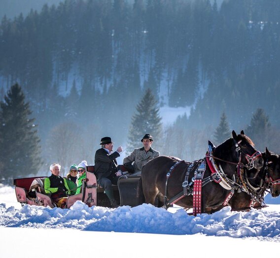 Schlittenfahrt, Bad Mitterndorf, Schlitten Winter | © TVB Ausseerland Salzkammergut_Tom Lamm | TVB Ausseerland Salzkammergut_Tom Lamm | © TVB Ausseerland Salzkammergut_Tom Lamm