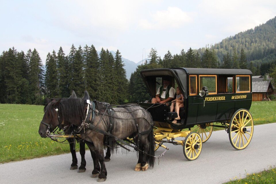 Horse-drawn sleigh and carriage rides "At the Seebacherhof" - Impression #1 | © Elisabeth Seebacher