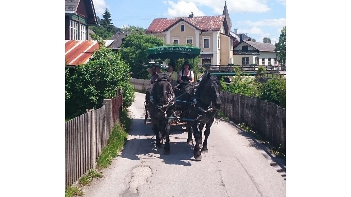 Gemütliche Kutschenfahrt durch Bad Mitterndorf bei schönem Wetter, 3 Personen genießen die idyllische Fahrt durch die Untergriessgasse und die herrliche Landschaft. | © Elisabeth Seebacher