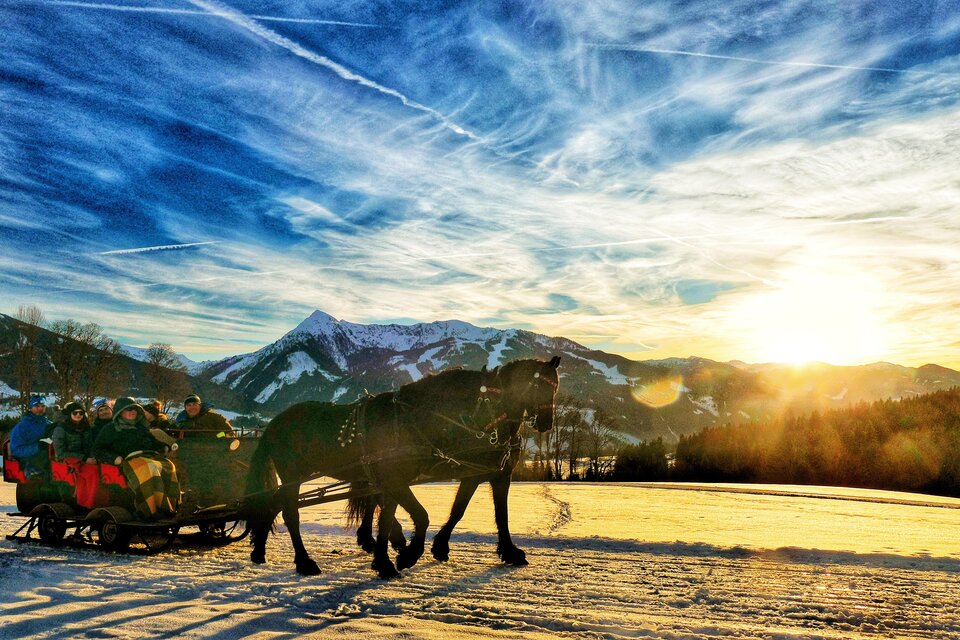 Horse Drawn Sleigh Rides Minzlhof - Impression #1 | © Minzlhof