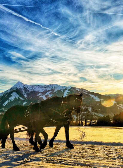 Pferdeschlittenfahrt Ramsau am Dachstein | © Minzlhof