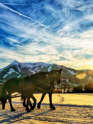 Pferdeschlittenfahrt Ramsau am Dachstein | © Minzlhof