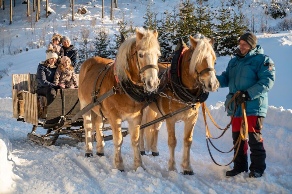 Pferdeschlittenfahren Teichalm - Impression #1 | © Tourismusverband Oststeiermark