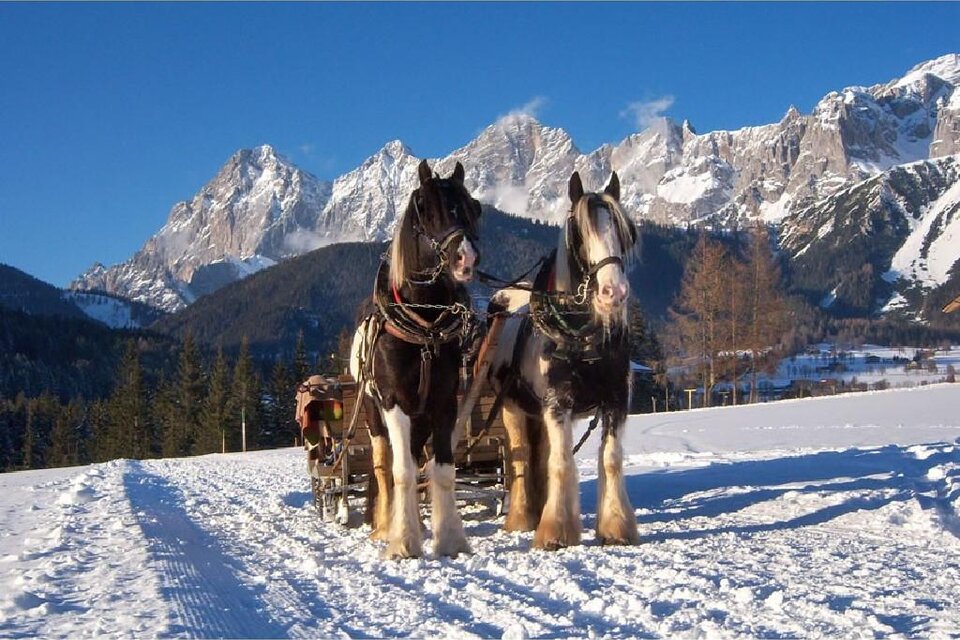 Horse Drawn Sleigh Rides Ortnerhof - Impression #1 | © Ortnerhof Ramsau am Dachstein