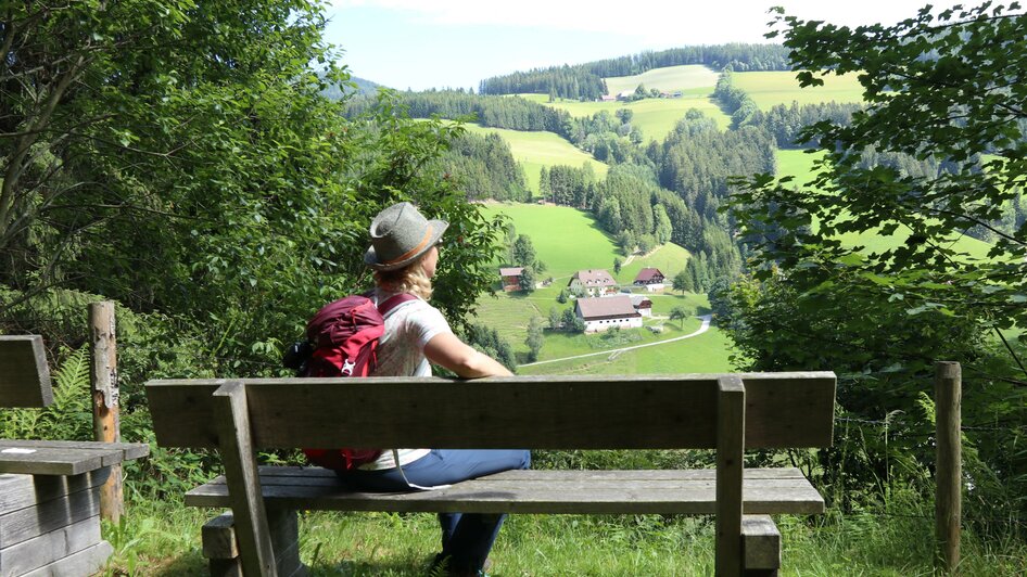 Picnic Place_Stokogler Path_Break_Eastern Styria | © Tourismusverband Oststeiermark