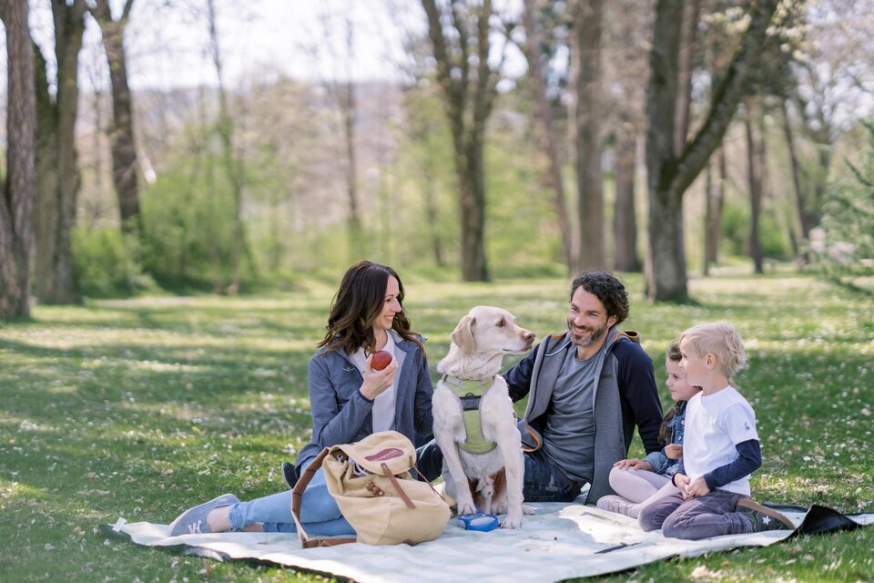 Picknicken im Historischen Park in St. Ruprecht an der Raab - Impression #1 | © Tourismusverband Oststeiermark