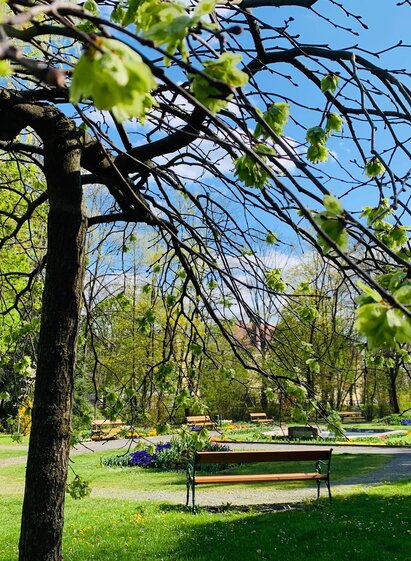 City Park_Tree view_Eastern Styria | © Stadtgemeinde Gleisdorf_Tourismusverband Oststeiermark