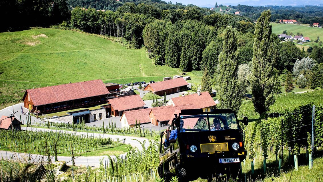 Ein Geländewagen fährt durch eine grüne Weinlandschaft. Im Hintergrund sind mehrere Gebäude und Bäume zu sehen. | © Weingut Georgiberg