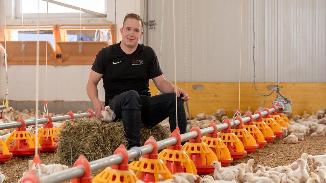Ein Landwirt sitzt in einem Geflügelstall und hält ein Küken in der Hand. Um ihn herum sind viele Küken und Futterschalen sichtbar. | © RM SW GmbH | webquartier.at