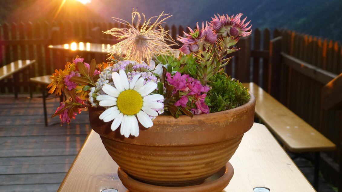 Blumen | © Höflehner Wolfgang