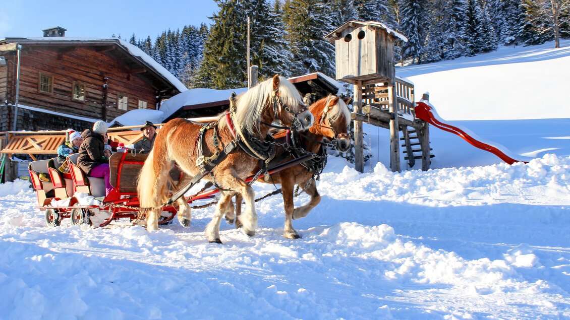 Pferdeschlittenfahrt | © Walcher, Stoanerhof