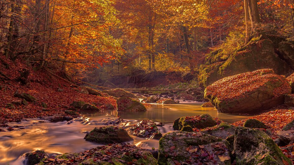 Raabklamm_Autumn_Eastern Styria_Nature_Erwin Brix | © Tourismusverband Oststeiermark
