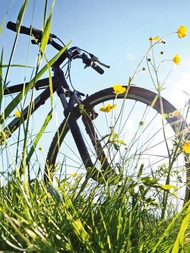 Radsport | © Radsport Samer