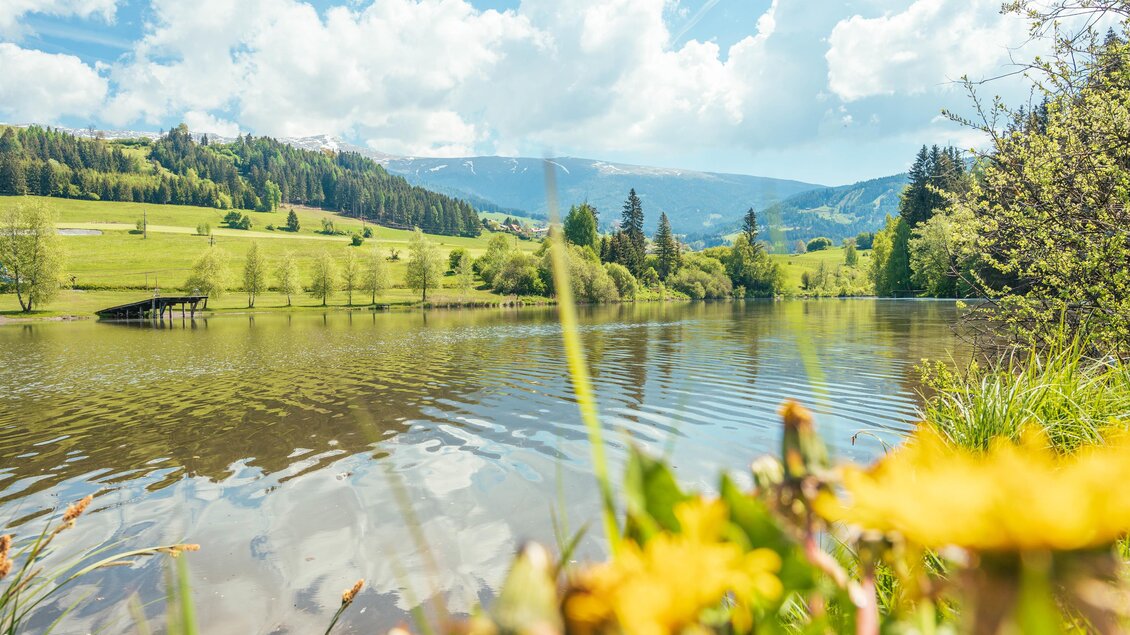 Bike rental Camping am Badesee - Impressionen #2.1