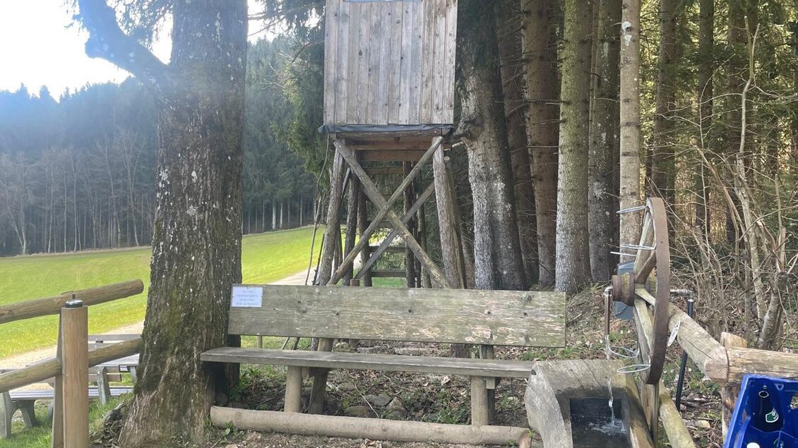 Rastplatz R8 Birkfeld - Impressionen #2.3