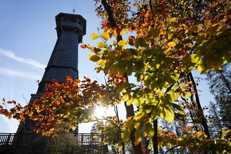 Resting place to the Ringwarte - Impression #1 | © Oststeiermark Tourismus