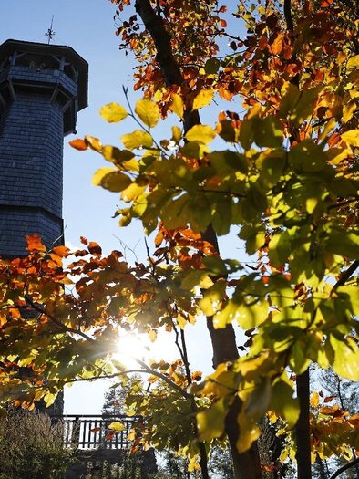 A lookout tower surrounded by colorful autumn leaves. The sun shines through the leaves, creating a warm atmosphere. | © Oststeiermark Tourismus