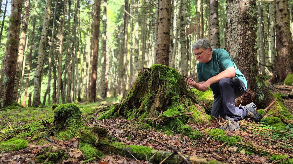 Jürgen Freller im Wald knieend vor einem bemoosten Baumstumpf. Hier genießt er die Kraft der Natur mit allen Sinnen. | © Jürgen Freller