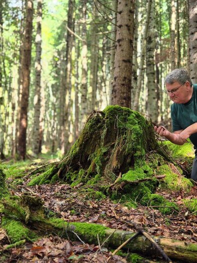 Jürgen Freller kneeling in the forest in front of a moss-covered tree stump. Here he enjoys the power of nature with all his senses. | © Jürgen Freller