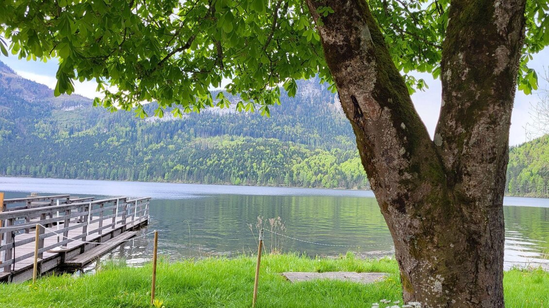 Ein ruhiger See umgeben von grünen Bergen und einem großen Baum. Am Ufer gibt es ein Holzsteg, der ins Wasser führt. | © Petra Kirchschlagerh