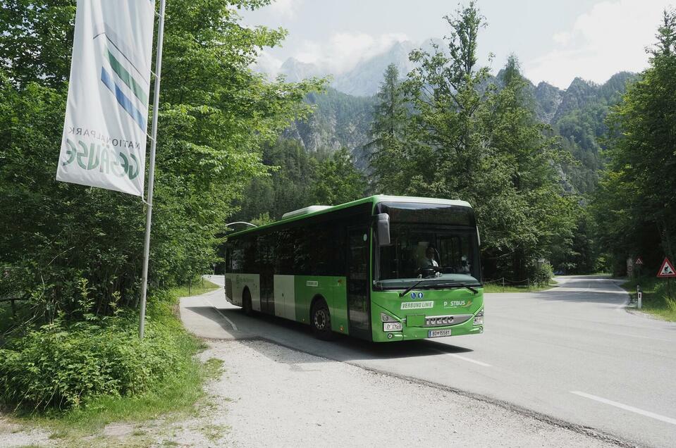 Regio-Bus - Impression #1 | © Herbert Wölger