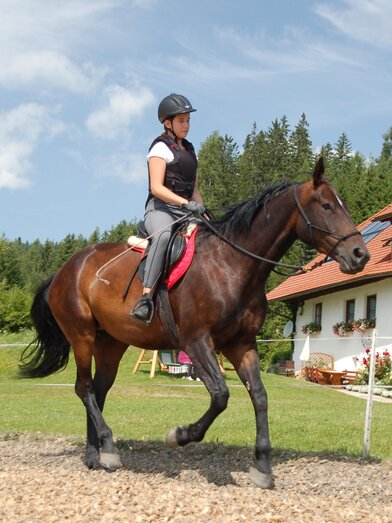 Reitbauernhof Steinerhof | Georg Leitner | © Reitbauernhof am Steinerhof